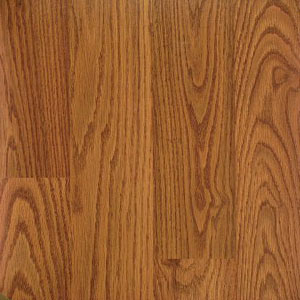 Mohawk Mohawk Heritage Hampshire Oak Strip Dl1-23
