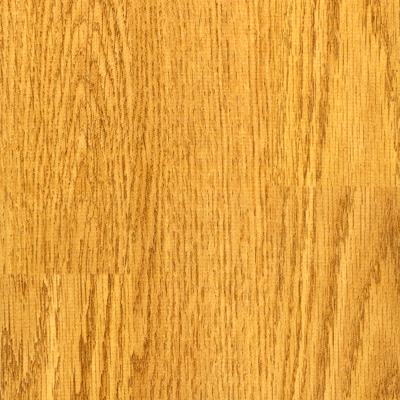 Mohawk Mohawk Paramount With Sound Backing Cinnamon Oak Strip Dl410527