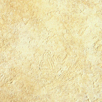 Paola Paola Fossil 12 X 12 Durango 7125a