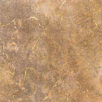 Ascot Ascot Nature 20 X 20 Brown Tile  &  Stone