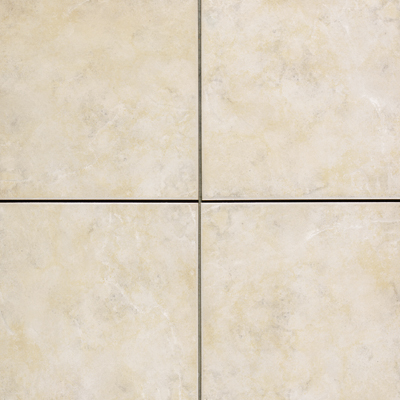 Witex Witex Niagara 12 X 12 Almond Nia200