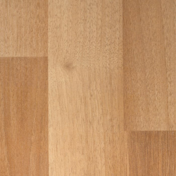 Meyer Meyer Elegance Timberland Timberland Beech Laminate Flooring