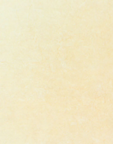 Mohawk Mohawk Caruso 8 X 10 Light Rose 4371 4371