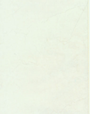Mohawk Mohawk Caruso 8 X 10 White 4368 4368