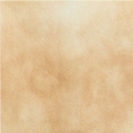 Mohawk Mohawk Colorations 8 X 8 Leather 3842 3842