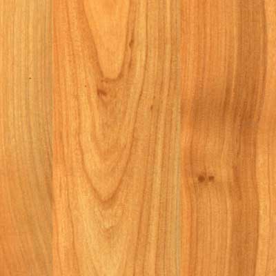 Meyer Meyer Premier Advantage River Birch Laminate Flooring