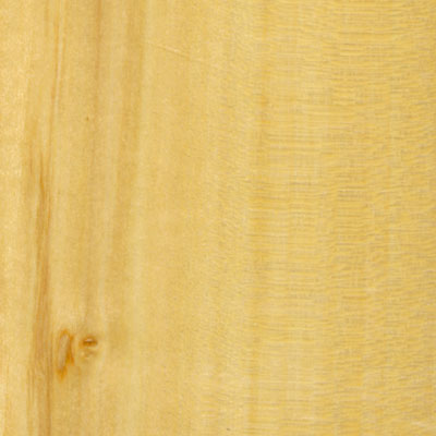 Noble House Noble House Plantation 2-1 / 4 Birch Natural 64122-s