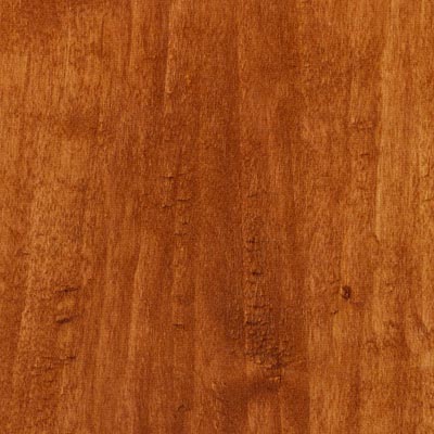 Tarkett Tarkett Cinque Terre Coastal Elm Laminate Flooring