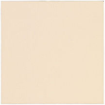 Armstrong Armstrong Primaries 13 X 13 Smooth Bone Csm021313