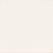 Armstrong Armstrong Primaries Smooth 8 X 10 Smooth White Csm03810