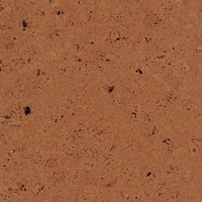 Barkley Cork Barkley Cork Enviro Cork Fuego Cork Flooring