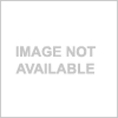 Lea Ceramiche Lea Ceramiche Rainforest 13 X 13 Sand Tile  &  Stone