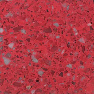 Santa Regina Santa Regina Accent 16 X 16 (polished) Poinsettia Terrazzo Tile