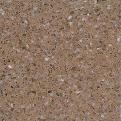 Santa Regina Santa Regina Designer 24 X 24 (natural) Toasted Wheat Terrazzo Tile