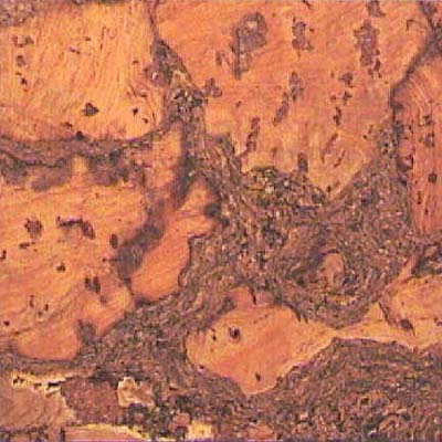 Natural Cork Natural Cork Cork Wall Tiles Dalila Cork Flooring