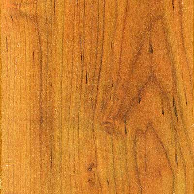 Stepco Stepco Four Sided Bevel Birch Laminate Flooring