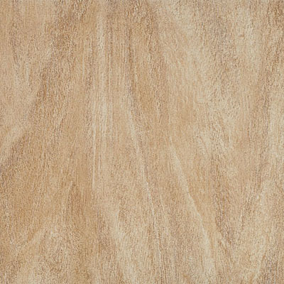 Esquire Tile Esquire Tile Okoume 18 X 18 Bone Tile  &  Stone