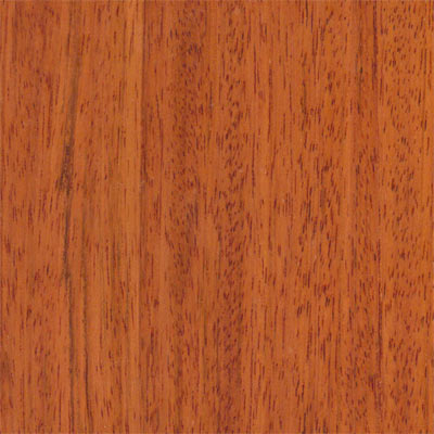Wood Flooring International Wood Flooring International Exotics Singlestrip 5 Brazilian Cherry Wfipebch5