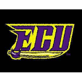 Logo Rugs Logo Rugs East Carolina University East Carolina Entry Mat 2 X 2 Area Rugs