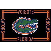 Logo Rugs Logo Rugs Florida University Florida Area Rug 3 X 5 Area Rugs