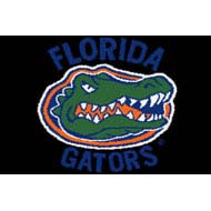 Logo Rugs Logo Rugs Florida University Florida Entry Mat 2 X 2 Area Rugs