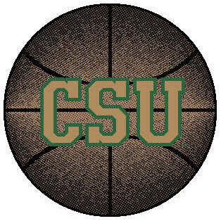 Strike Off Company, Inc Strike Off Company, Inc Colorado State University Colorado State Basketball 24 inch  Area Rugs
