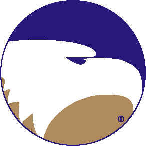 Logo Rugs Logo Rugs Georgia Southern University Georgia Southern Round Rug 4 Ft Area Rugs
