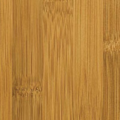 Teragren Teragren Craftsman Flat Caramelized Bamboo Flooring