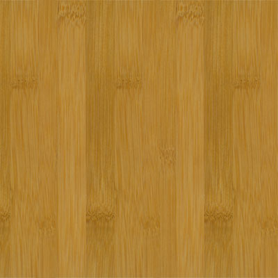 Teragren Teragren Spectrum Flat Caramelized Bamboo Flooring