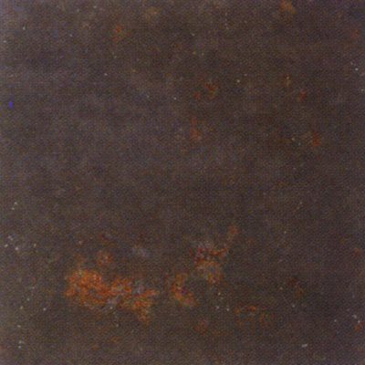 Rex Rex Slate Solutions 6 X 6 Multicolor Tile  &  Stone