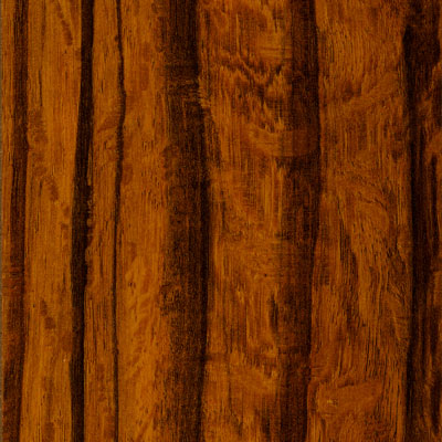 Lamett Lamett Hemispheres Collection Tigerwood Laminate Flooring