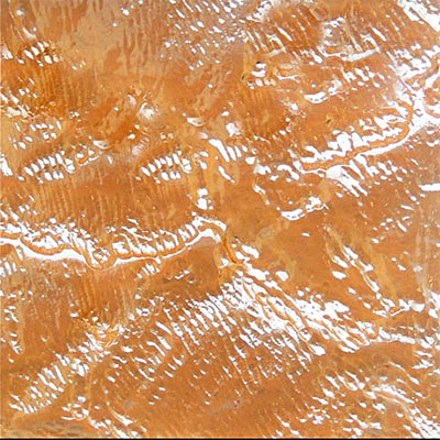 Oceana Oceana Glass Tiles 6 X 6 Champagne Gold Tile  &  Stone