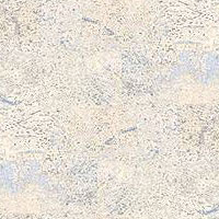 Wicanders Wicanders Series 2000 Identity Timide Cork Flooring