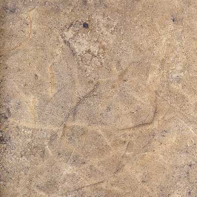 Portobello Portobello Atlantica 20 X 20 Noche Tile  &  Stone