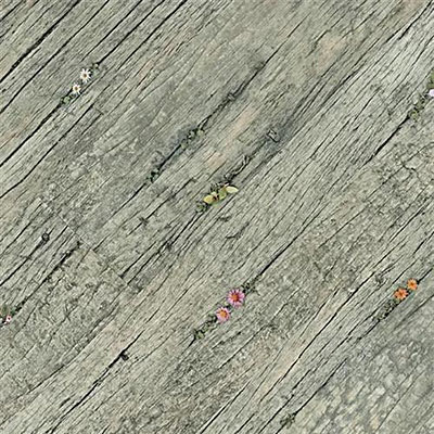 Earth Werks Earth Werks Vintage Floral Plank Vintage Floral Vinyl Flooring