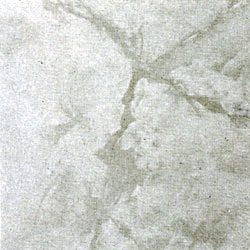 Home Dynamix Home Dynamix Dynamix Tiles 12 X 12 45pc Im 5 Im5