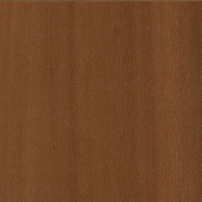 Tarkett Tarkett Journeys Plum Select Caramel Laminate Flooring