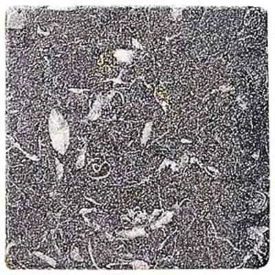 Alfagres Alfagres Tumbled Marble 4 X 4 Tocetos Negro Tile  &  Stone