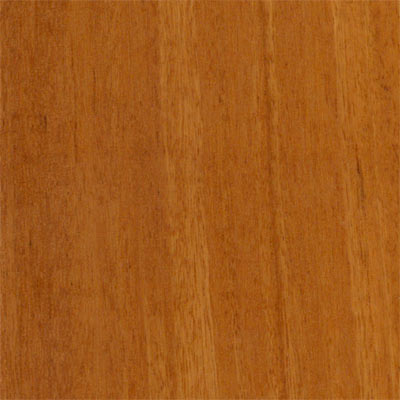 Wood Flooring International Wood Flooring International World Woods Collection 5 Southern Chestnut Hardwood Flooring