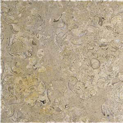 Alfagres Alfagres Tumbled Marble 12 X 12 Polished Cafe Pinto Tile  &  Stone