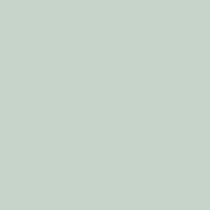 American Olean American Olean Satinglo Hex 1 X 1 (12 X 12) Light Aspen D05