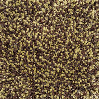 Delos, Inc. Delos, Inc. Gala - Shag 8 X 11 Gala Green Brown Area Rugs