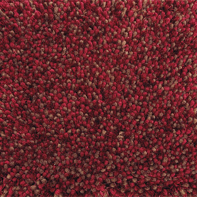 Delos, Inc. Delos, Inc. Gala - Shag 8 X 11 Gala Red Brown Area Rugs