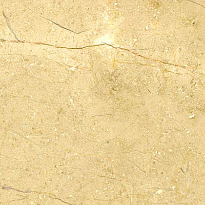 Maestro Mosaics Maestro Mosaics Limestone 12 X 12 Honed Beige Fossil Tile  &  Stone