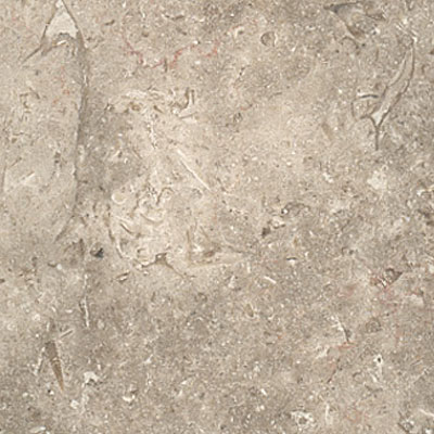 Maestro Mosaics Maestro Mosaics Limestone 12 X 12 Polished Ramon Grey Tile  &  Stone