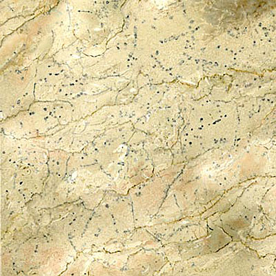 Maestro Mosaics Maestro Mosaics Marble 12 X 12 Polished Botticino Tile  &  Stone