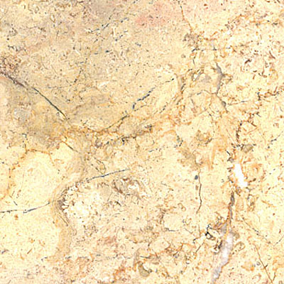 Maestro Mosaics Maestro Mosaics Marble 12 X 12 Polished Champagne Tile  &  Stone