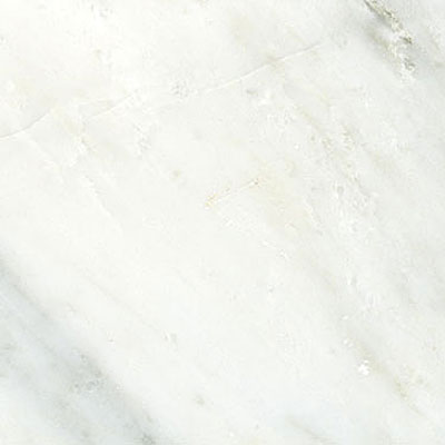 Maestro Mosaics Maestro Mosaics Marble 12 X 12 Polished White Statuary Tile  &  Stone