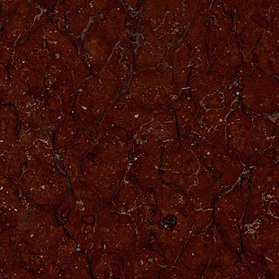 Maestro Mosaics Maestro Mosaics Marble 16 X 16 Polished Calamandina Tile  &  Stone