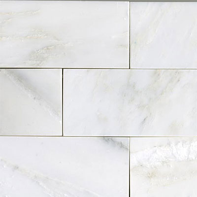 Maestro Mosaics Maestro Mosaics Marble 3 X 6 Honed White Statuary Tile  &  Stone